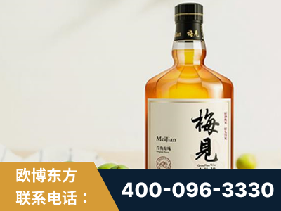 盐城-梅见青梅酒