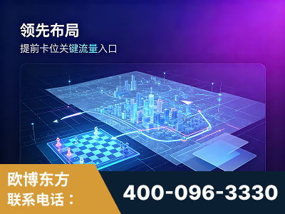 盐城-领先布局：于2024年初开启GEO业务的公司